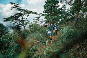 BIB: 
                            <button type="button" onclick="openModal(25258592)" class="btn btn-primary btn-sm float-right btn-popup" data-toggle="modal" data-target=".modal-high-quality">
                        <i class="fas fa-shopping-cart"></i> Add to Cart
                    </button>
                                            <button type="button" onclick="isThisMe(25258592, true)" class="btn btn-success btn-sm float-right btn-popup btn-isme hidden" data-toggle="tooltip" data-placement="bottom" title="นี่คือรูปของคุณใช่ไหม คลิกที่นี่เพื่อเอาเข้าอัลบั้ม">
                        <i class="fas fa-plus"></i> Add to album
                    </button>
                    <button type="button" onclick="isThisMe(25258592, false)" class="btn btn-warning btn-sm float-right btn-popup btn-isnotme hidden">
                        <i class="fas fa-ban"></i> Remove from album
                    </button>